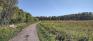 Assiniboine Marsh Docks - Sagimay Trail - Clearing