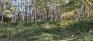 Evesham Key Park - Forest Trail