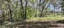 Gladys Bunn Park - Forest Trail - Split