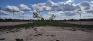 Marj Edey Park - Baseball Diamonds