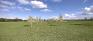 Marj Edey Park - Open Area