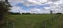 Marj Edey Park - Open Area