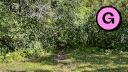 Beauchemin Park - NE Trail Entrance