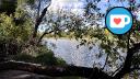 Beauchemin Park - Branch over Forest Trail