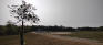 Omand Park - Baseball Diamond