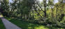 Omand Park - Flower Garden