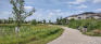 Bridgwater Forest Path - Pathways - Enroute to Highland Creek Rd