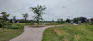 Bridgwater Forest Path - Pathways - Enroute to Footbridge