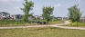 Hua Mulan Park - Pathways - Behind Playground