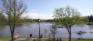 Scurfield Park North - Pond