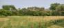 Wildwood Park Community Centre - Grassland