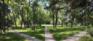 Wildwood Park - Pathways