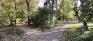 Munson Park - Pathways