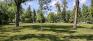 South Open Area