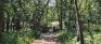 Bois-des-esprits - Trails - Footbridge