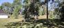 Bourkevale Park - Hill