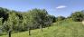 Truro Park - Hill