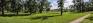 King George Park - North Edge - Panorama